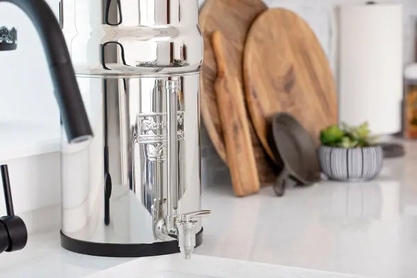 Stainless steel faucet with level control